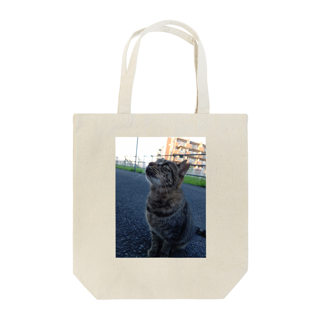 ながしっぽ from.さくらねこの家のとらちゃん　type.Ｂ Tote Bag