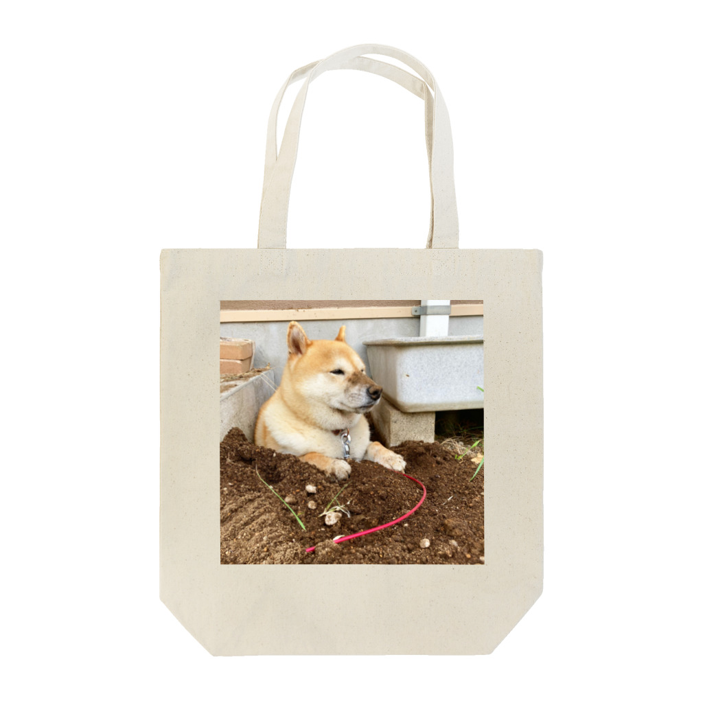 穴掘り犬こむぎさんの穴掘り犬こむぎさん ３ Tote Bag