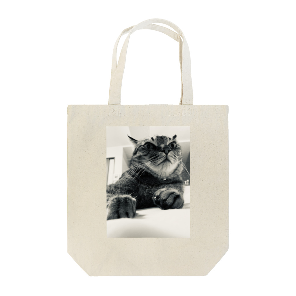 深夜の猫屋さんのしんやねこ Tote Bag