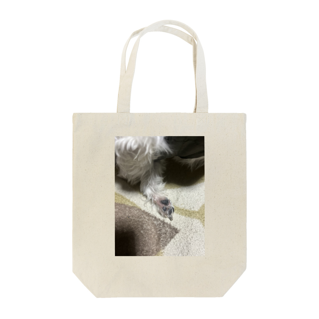 S2.カンパニーのアポロくんです！ Tote Bag