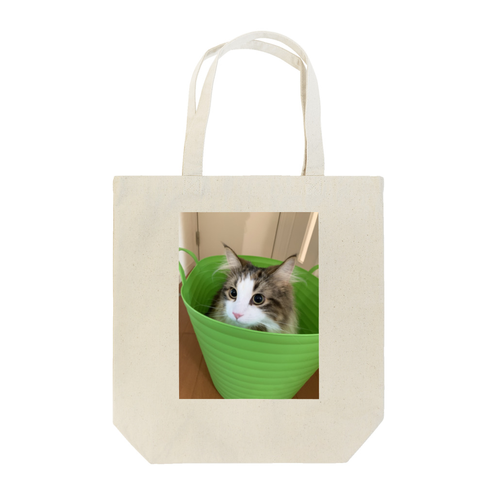 アップルパイのロイ Tote Bag