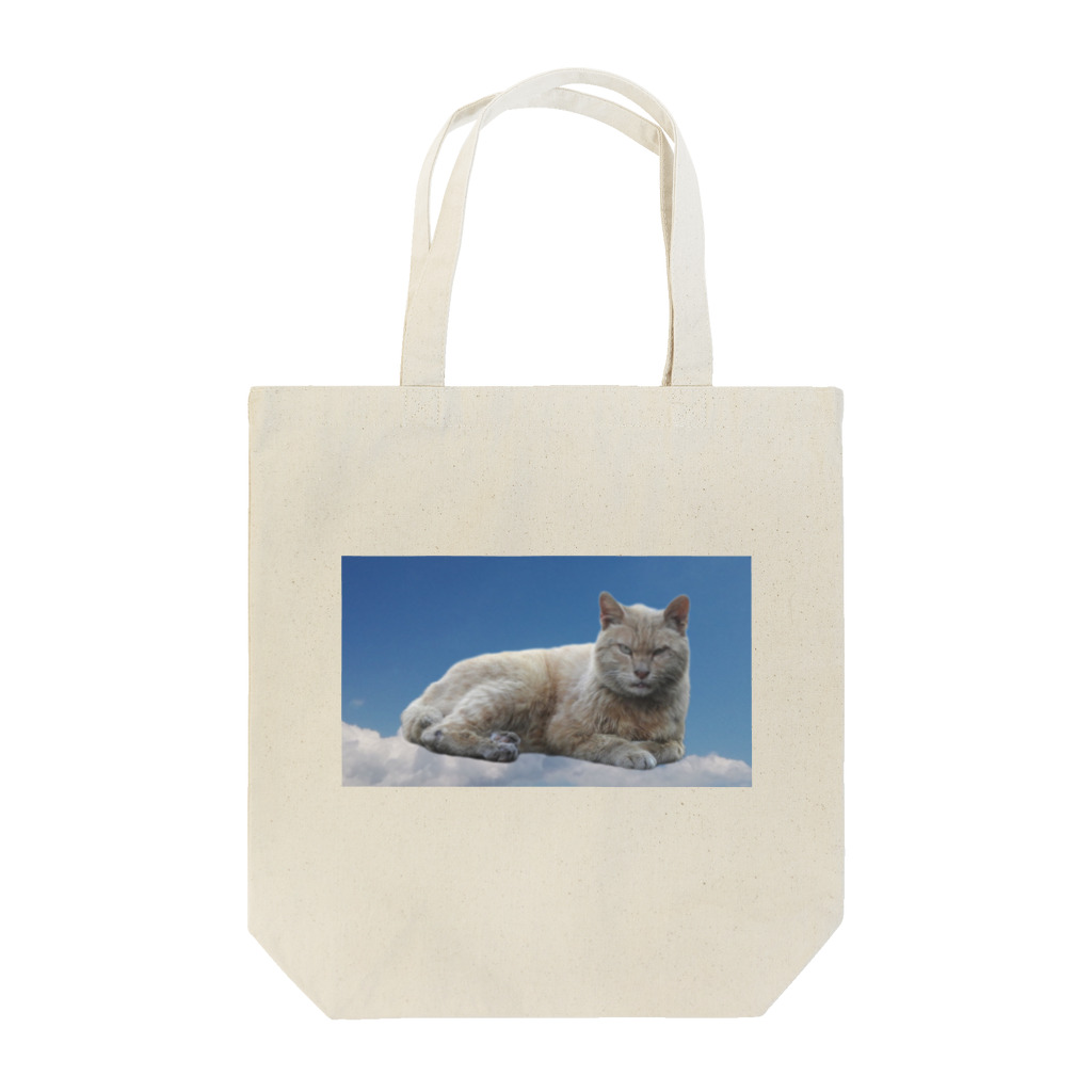 冬の底の猫と青空 Tote Bag