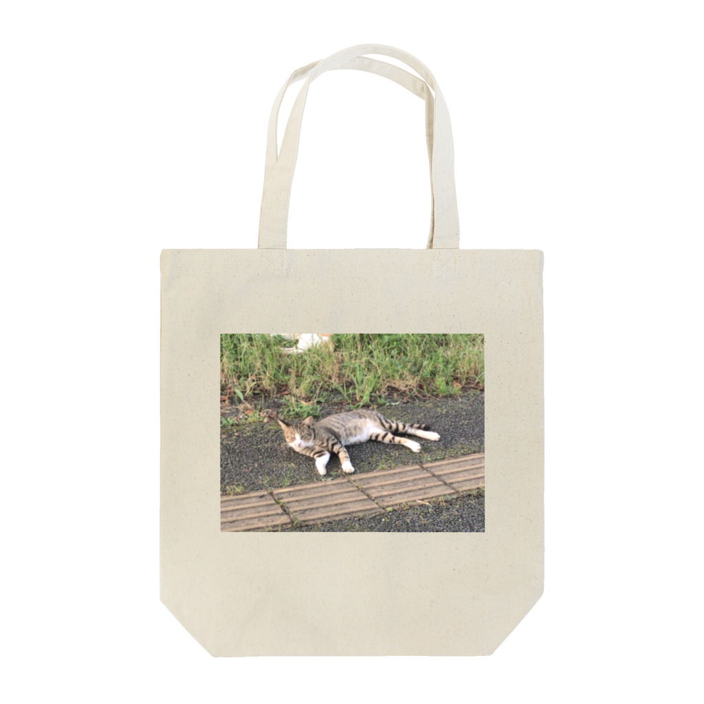 はるんけあの野良猫 feat. 荒川の河川敷 in 赤羽 Tote Bag