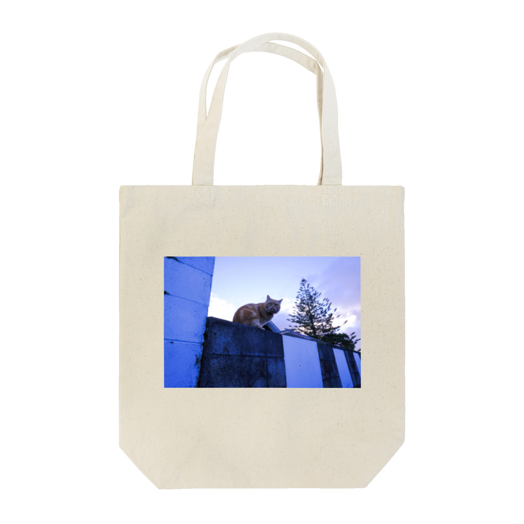 Pleiadesのショップのねこ Tote Bag