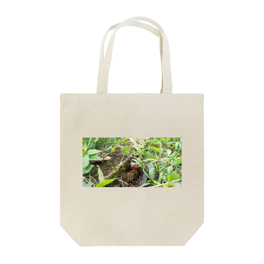 tizujonoboukenの自然豊か Tote Bag