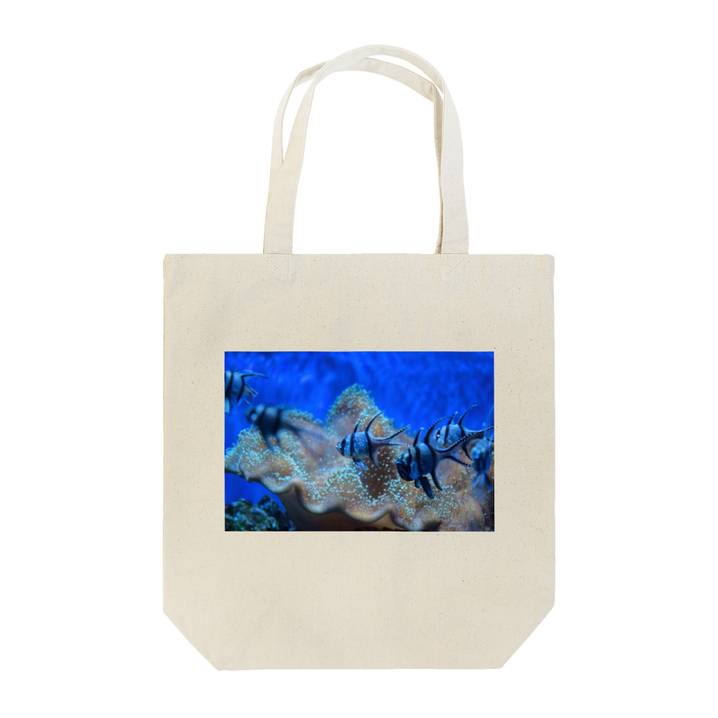 天秤座の星空の魚 Tote Bag