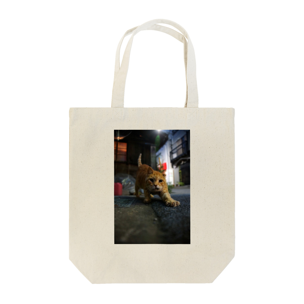 シッポ追いの猫写真店のInto the night Tote Bag