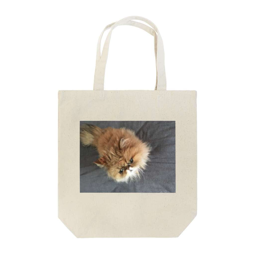 ぶちゃ猫・茶々丸オフィシャルショップのぶちゃ猫・茶々丸 Tote Bag