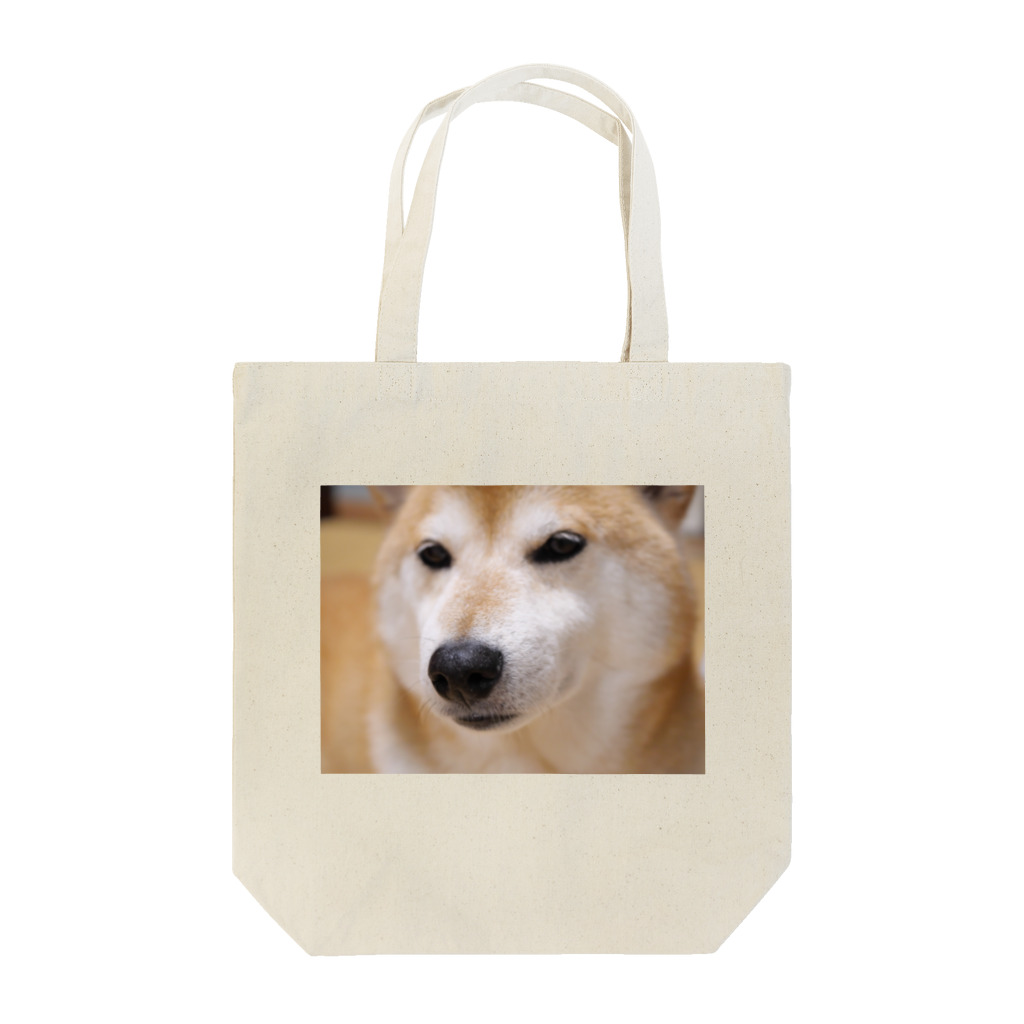 tamanikawaii_shibainuのすまし顔の柴犬♂ トートバッグ