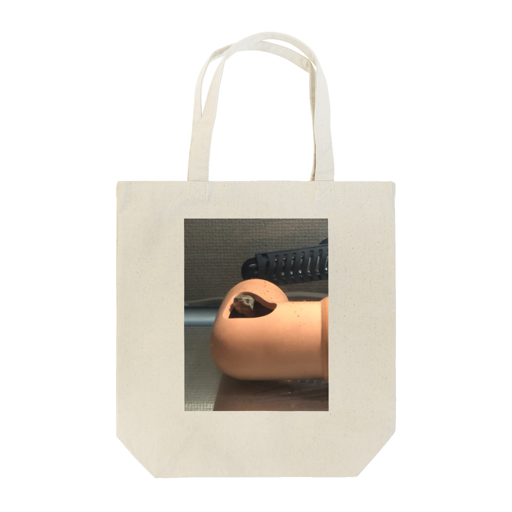 ⭐️ナイト⭐️のコロン（ミシシッピニオイガメ） Tote Bag