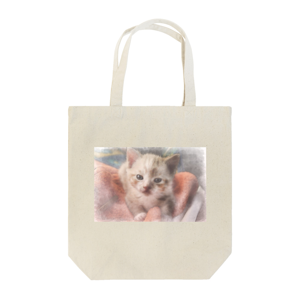 Ａ’ｚｗｏｒｋＳのウチの子猫(だった頃) Tote Bag