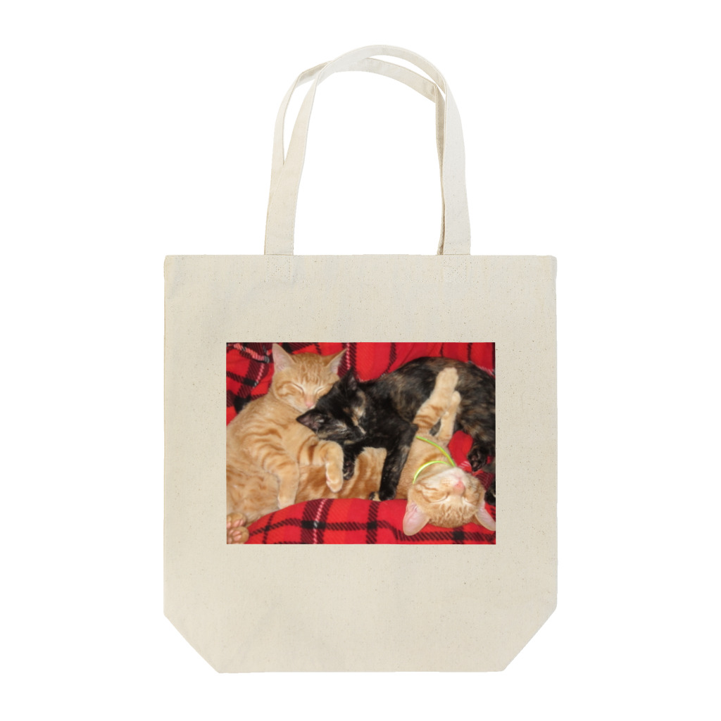 猫充商店の寝るのが仕事　じじとはくとりん Tote Bag