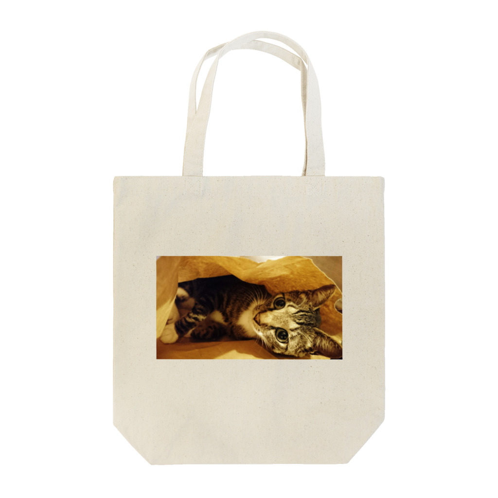 Gumi's の猫シグレ in the bag Tote Bag