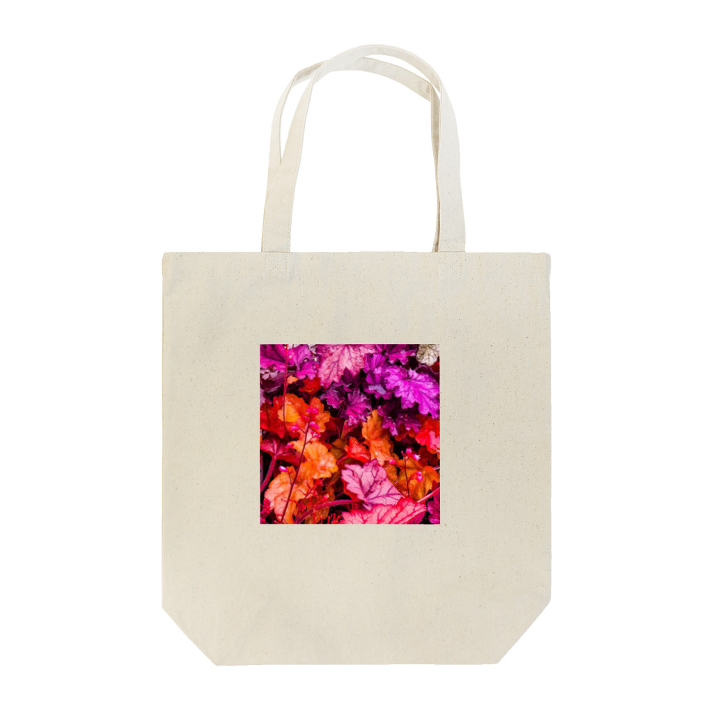 D井の 極彩      Tote Bag