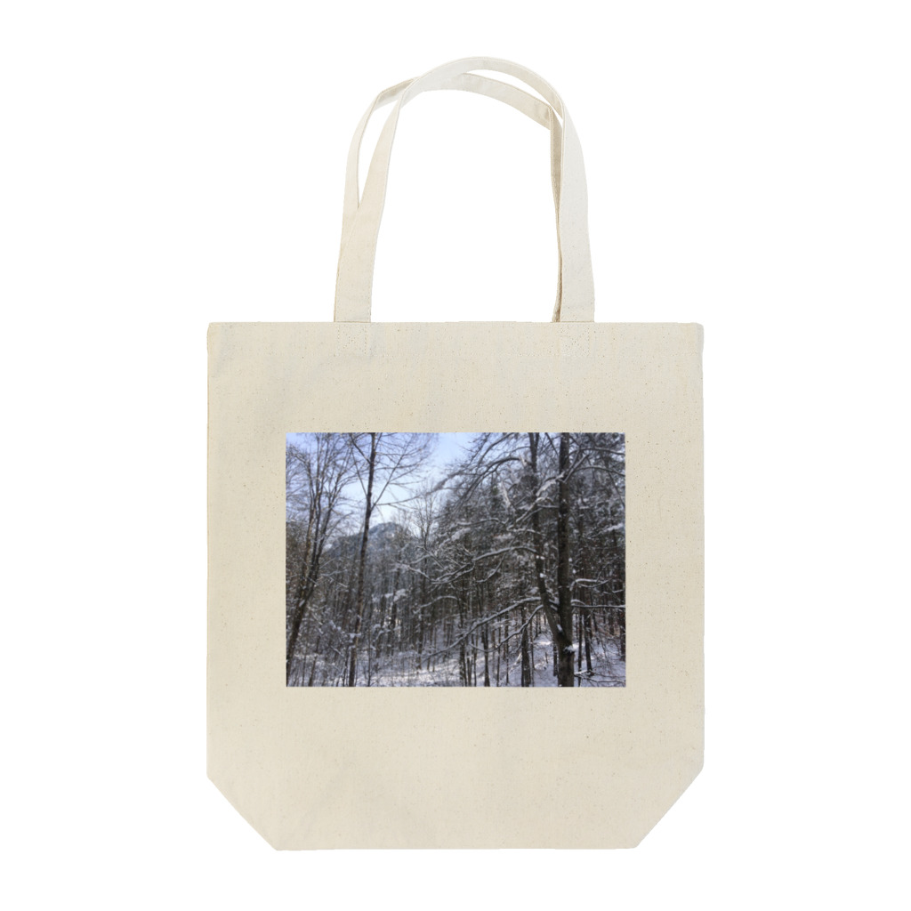 Orchestra:Suzuri支店の世界の風景:Fuessen Tote Bag