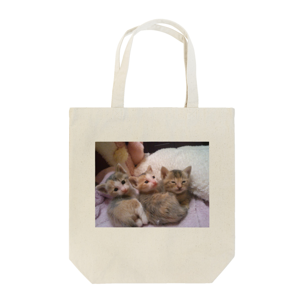 なぅ(ฅ¯ω¯ฅ )🐱🐱🐶🐾のねこねここねこ Tote Bag