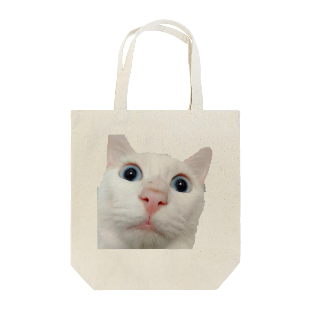 猫の隠れ家の驚きを隠せない。 Tote Bag