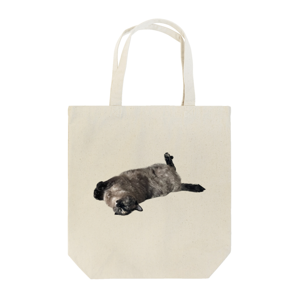 QDAのSly Tote Bag