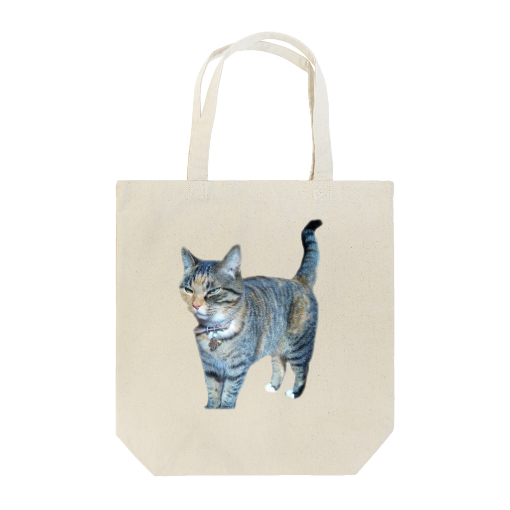 れじぶくろのウチの猫 Tote Bag