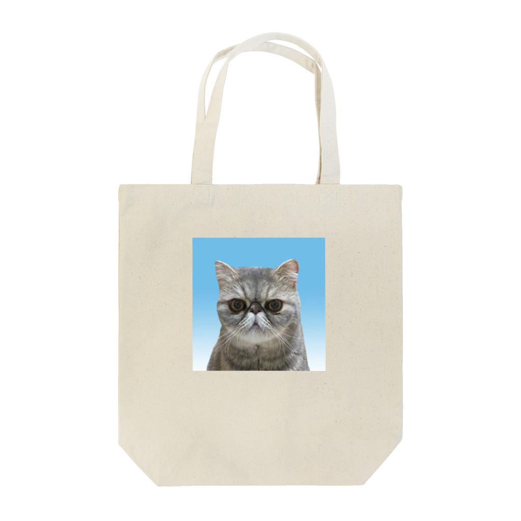 チャンドゥの証明写真 Tote Bag