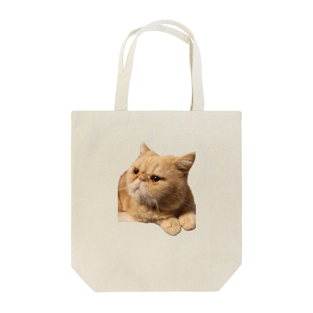 旬&福&光のおやじ猫 Tote Bag