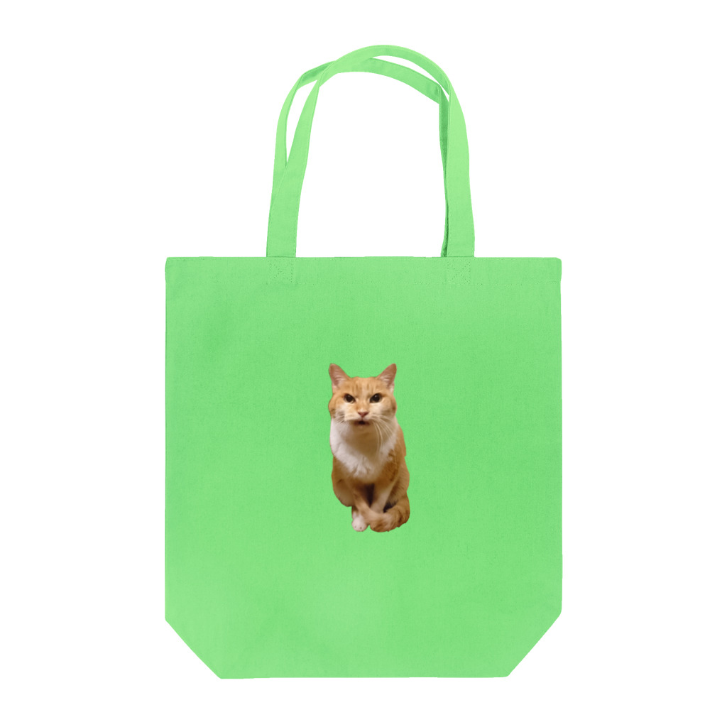 猫沢太陽の眼光鋭い茶シロ猫 Tote Bag