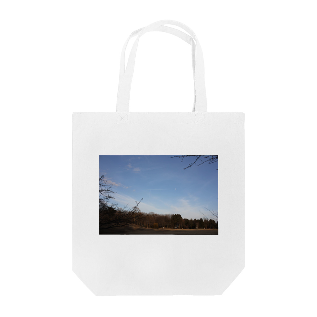 RyoY_ArtWorks_GalleryのArtistiCloudMoonPark Tote Bag