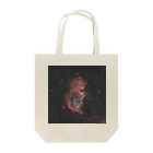 S204_Nanaの胎児星雲 Tote Bag