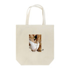 tabby catのネコ　トート　カラー Tote Bag