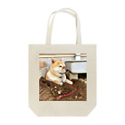 穴掘り犬こむぎさんの穴掘り犬こむぎさん ３ Tote Bag