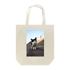 シッポ追いの猫写真店の汚しちゃった！ Tote Bag