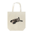 QDAのSly Tote Bag