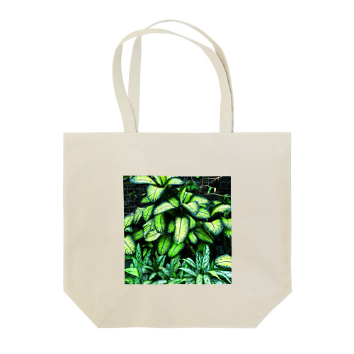 癒しの観葉植物 トートバッグ