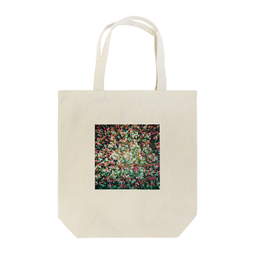 from here to there Tote Bag