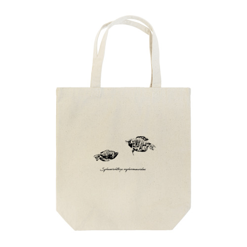 Sphaerichthys osphromenoides Tote Bag