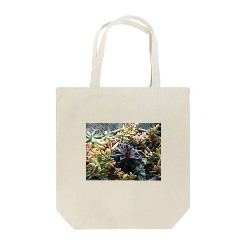 多肉植物のトートバッグ Tote Bag