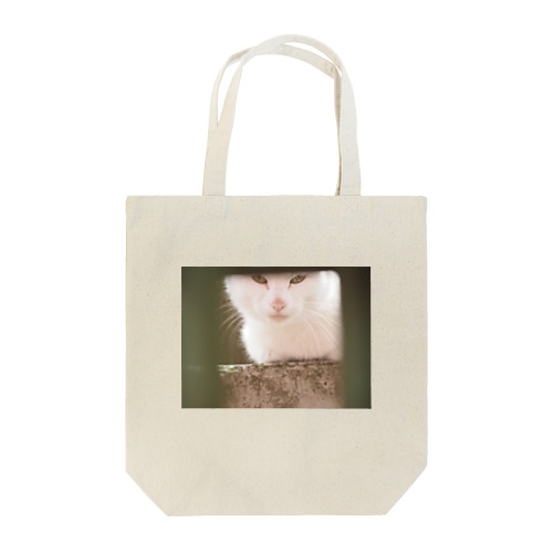 真正面相対野良ネコ Tote Bag