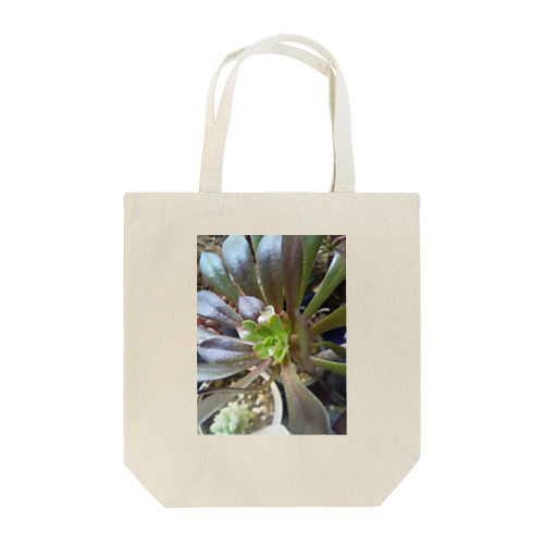 多肉植物の黒法師 Tote Bag