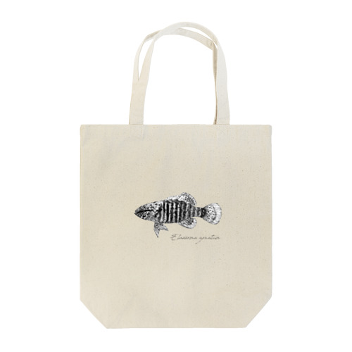 Elassoma zonatum Tote Bag