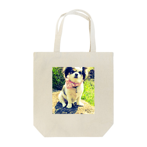 13 Tote Bag