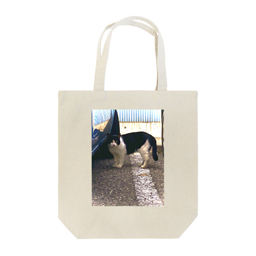 stray cat Tote Bag