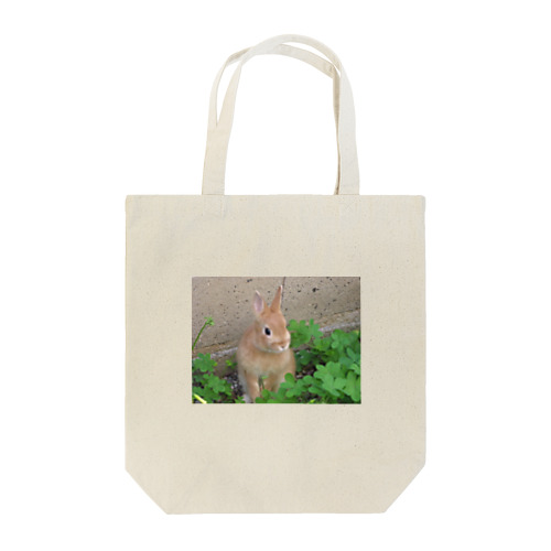Peter with clovers Tote Bag