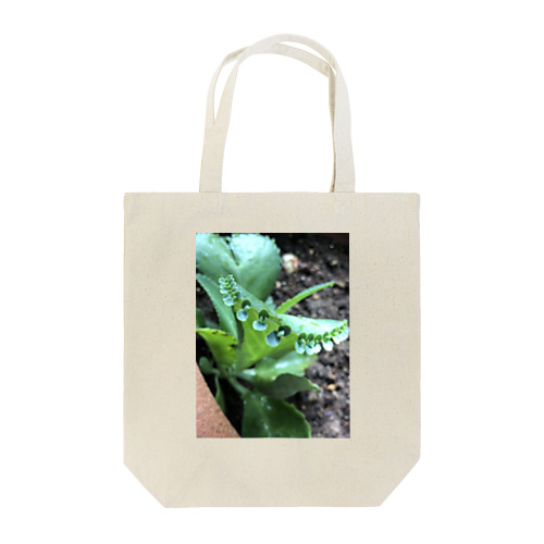 Shiawase ippai Tote Bag