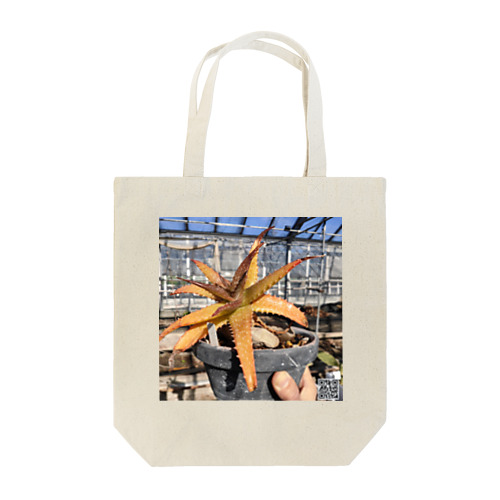 Aloe Tote Bag