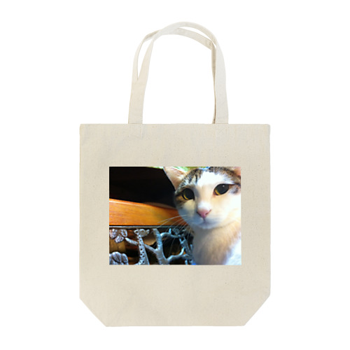 Cats Cool Face(CCF) Tote Bag