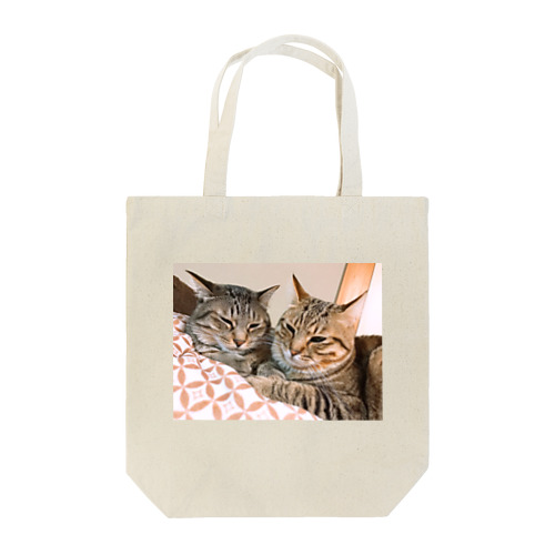 猫のテイルくんとテヤンくん Tote Bag