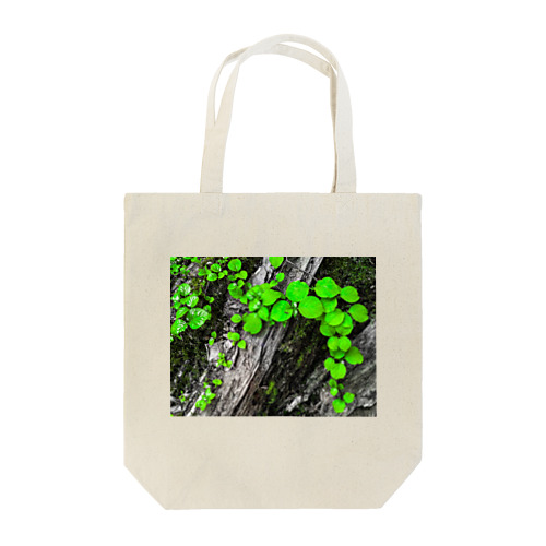 探究 Tote Bag