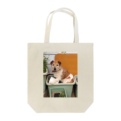 テリー Tote Bag