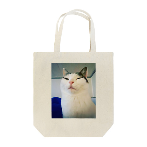 きょうの猫山さん Tote Bag