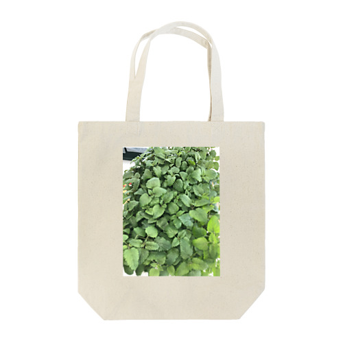 レモンバームくん Tote Bag